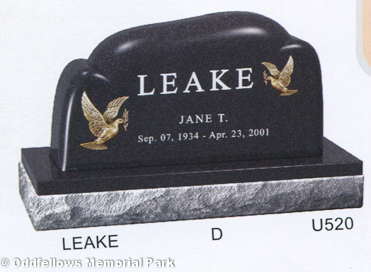 Leake